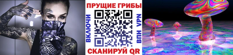 Псилоцибиновые грибы Psilocybine cubensis  Спас-Клепики 